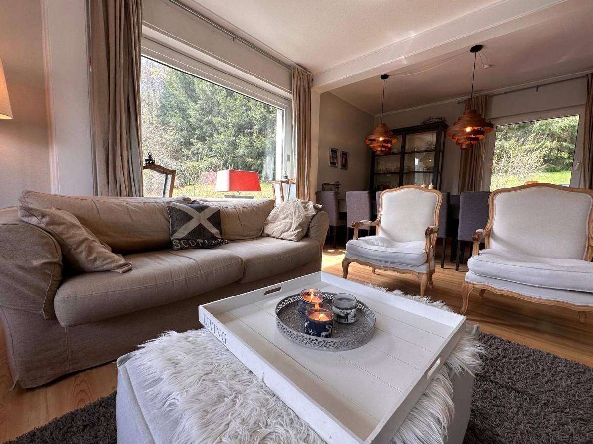 Charming Villa On The Forest In Wald 12 Guests Hugh Garden Willingen Sauerland Брилон Екстериор снимка