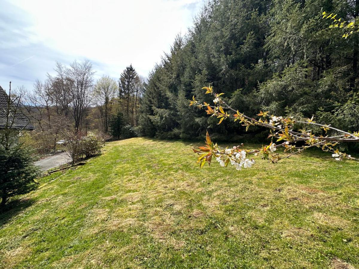 Charming Villa On The Forest In Wald 12 Guests Hugh Garden Willingen Sauerland Брилон Екстериор снимка