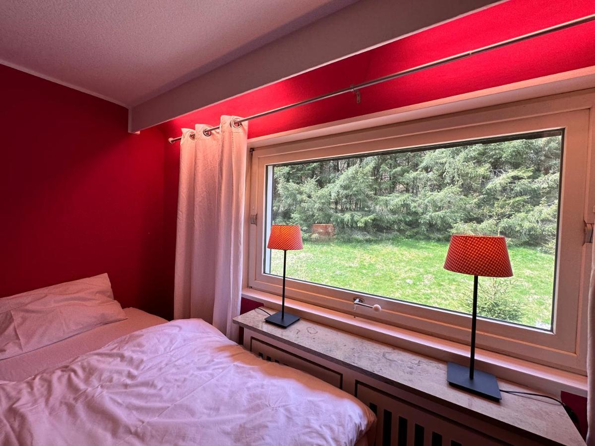 Charming Villa On The Forest In Wald 12 Guests Hugh Garden Willingen Sauerland Брилон Екстериор снимка