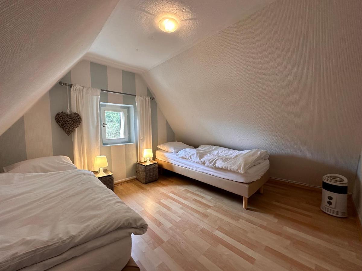 Charming Villa On The Forest In Wald 12 Guests Hugh Garden Willingen Sauerland Брилон Екстериор снимка
