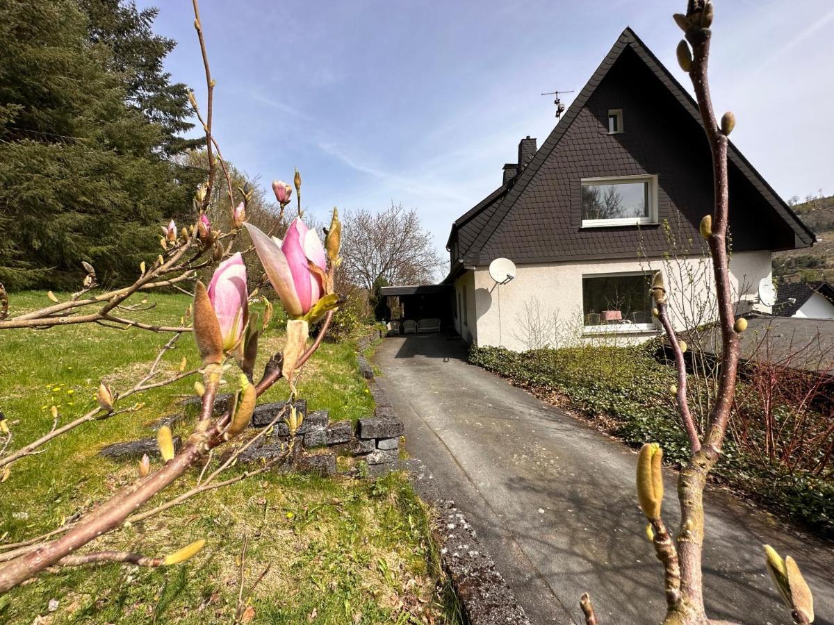 Charming Villa On The Forest In Wald 12 Guests Hugh Garden Willingen Sauerland Брилон Екстериор снимка